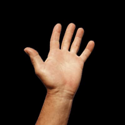 Право и общество