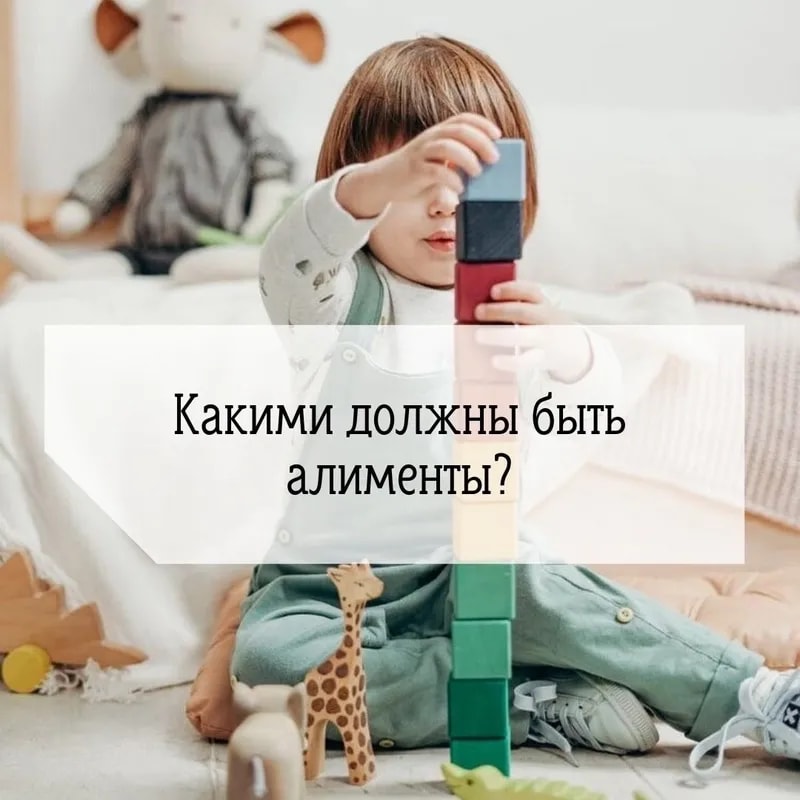 В Госдуму внесен законопроект о неснижаемом размере алиментов